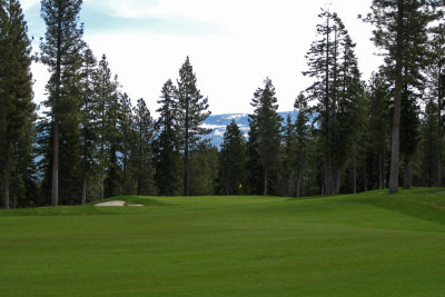#6 green