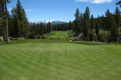#15 green from behind