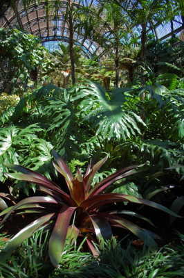 Botanical building interior