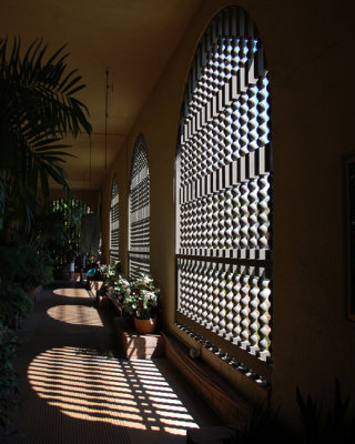 Shadows