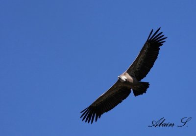 g1/90/862390/3/104562635.lGjhRTs3.jpg