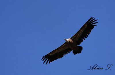 g1/90/862390/3/104562657.zO9eKZzo.jpg