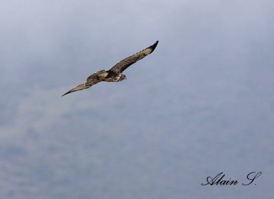 IMG_7104