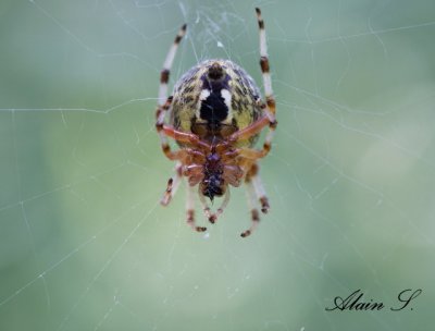 IMG_6268