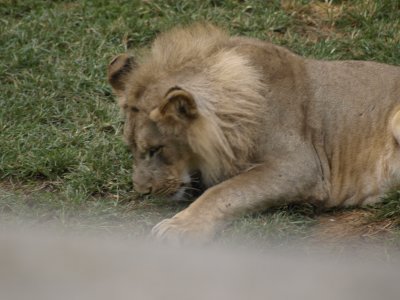 g1/90/864590/3/117096551.RIVfKZRz.jpg