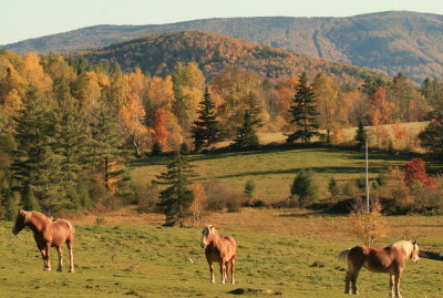 autumn in new england 4.jpg