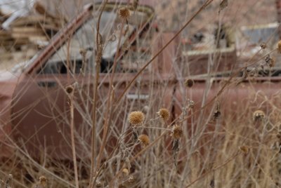 _AN26480.jpg