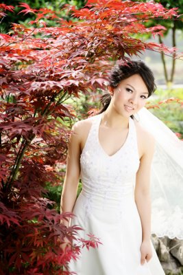 IMG_33_proc.jpg