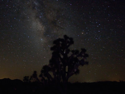 Milky Way with sillouette joshua tree - 15 sec longer exposure