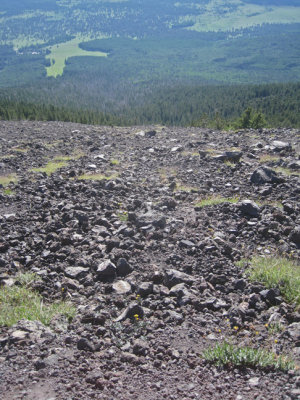 Down the talus to the treeline