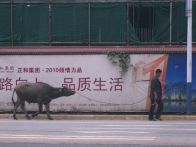 Typical street scene in Nanxi