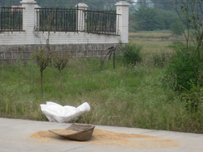 More drying grain
