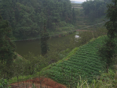 Farmer's plot