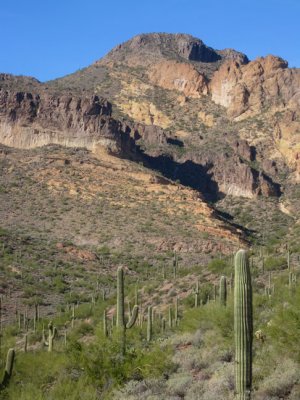 Dome Mountain Summit