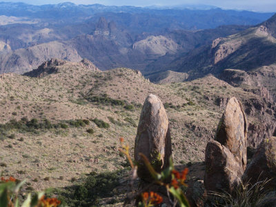 The two towers with Weaver's Needle and the Superstition Wilderness in the background