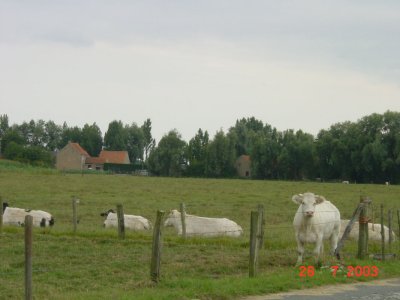 261707.JPG