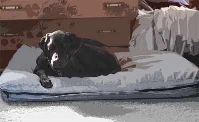 Ellie on the west bed