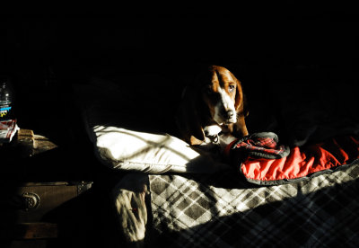 Girl in bed