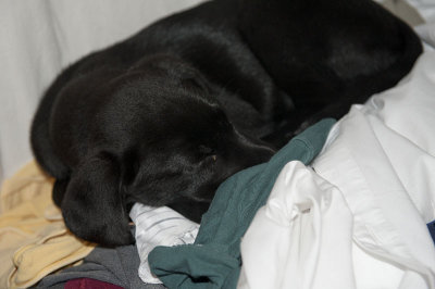 clothes pile pillow.jpg