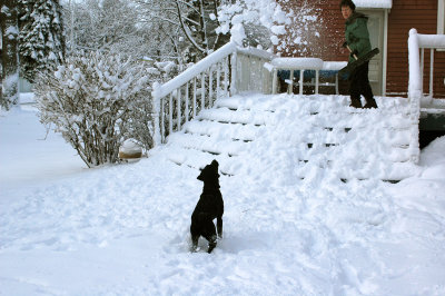 isolated snowfall