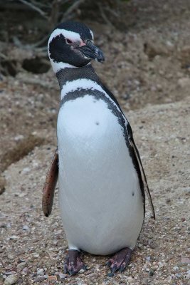 ARG_1744.jpg