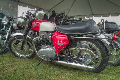 SDIM6100_1_2 - BSA Spitfire