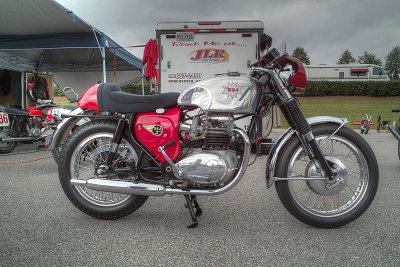 SDIM6495_6_7 - BSA