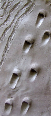  Wendys footprints