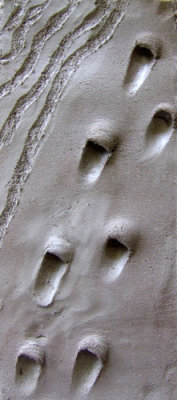  Wendy's footprints