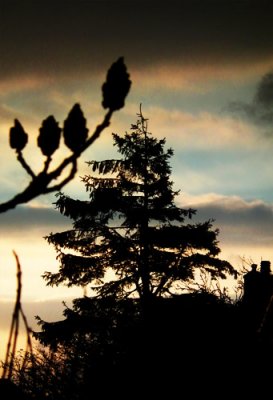 Sun arise ...