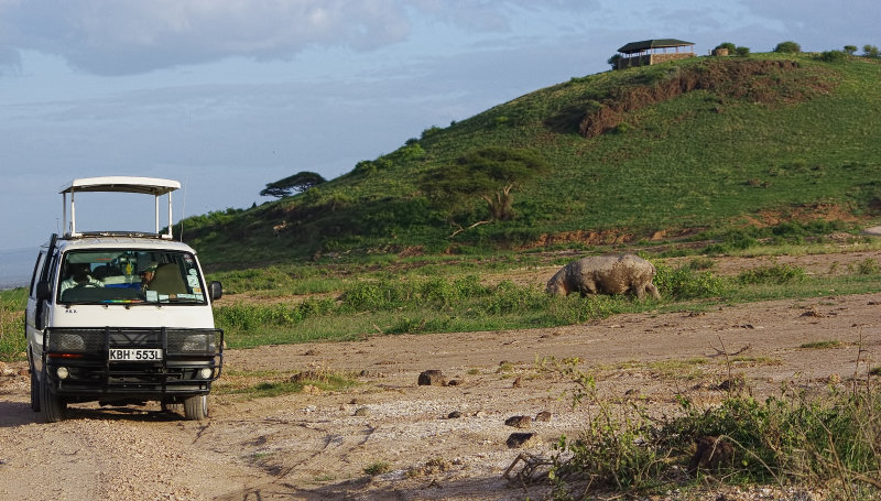 102 Ashley Amboseli Oltukai Day Two Observation Hill Hippo near Van.jpg