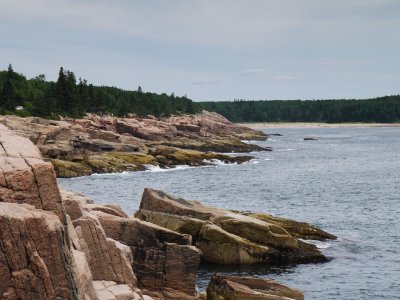 P1020610.jpg