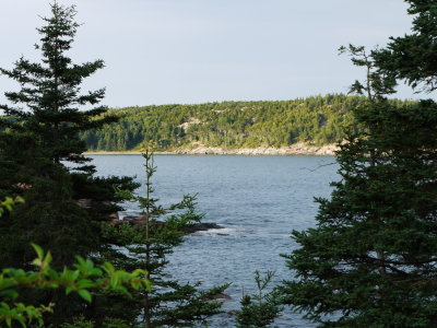 P1020720.jpg