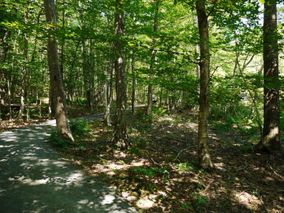 P1020737.jpg
