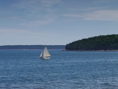 P1020761.jpg
