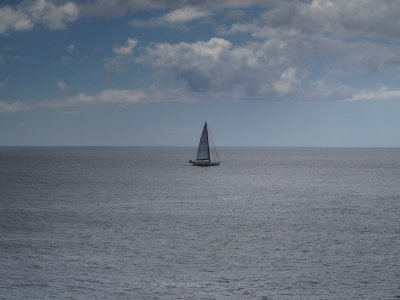 P1030038.jpg