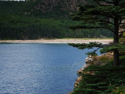 P1030045.jpg
