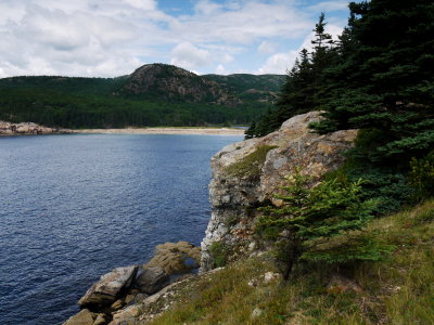 P1030054.jpg