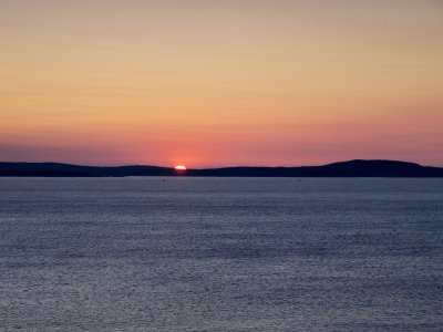 P1030133.jpg