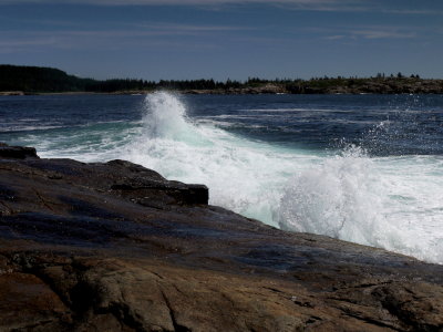 P1030411.jpg