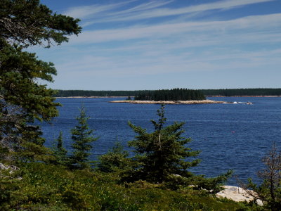 P1030432.jpg