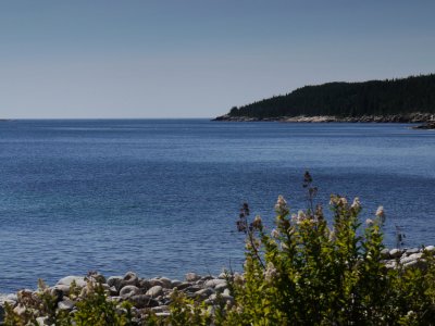 P1030441.jpg