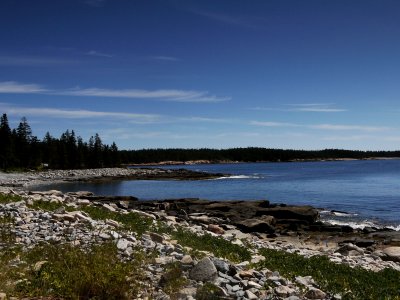 P1030443.jpg