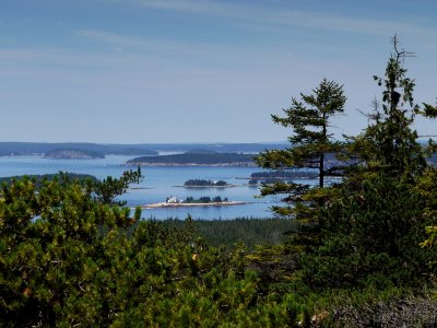 P1030469.jpg