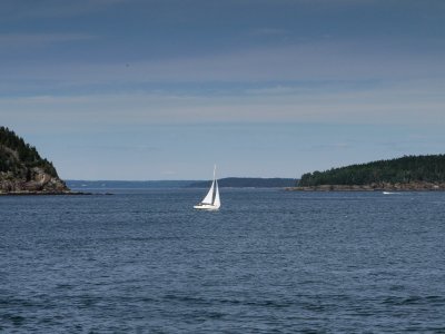 P1030499.jpg