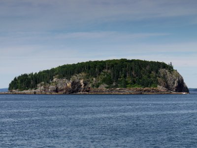 P1030517.jpg