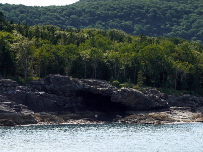 P1030537.jpg