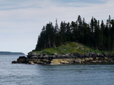 P1030629.jpg
