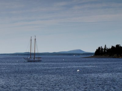 P1030645.jpg