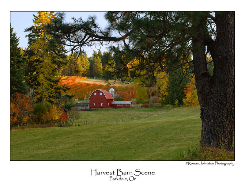 Harvest Barn Scene.jpg
